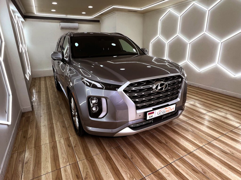 Hyundai Palisade 2020 — լուսանկար 2